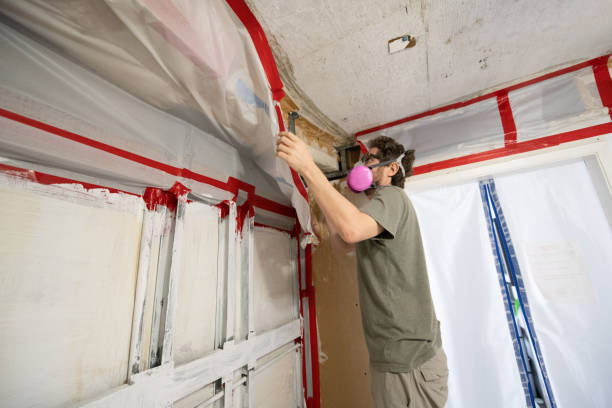 Asbestos and Lead Testing During Mold Inspection